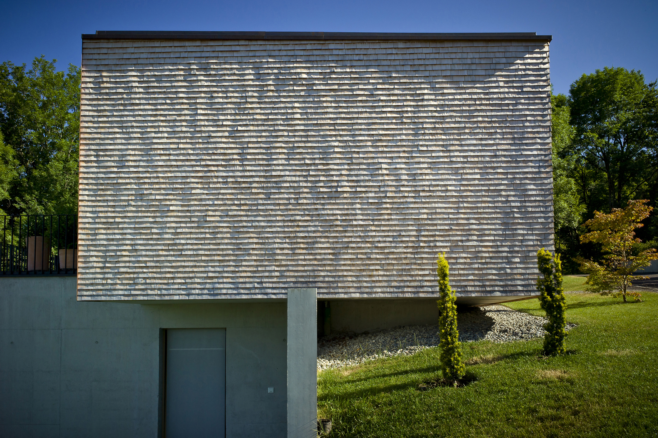 side_view